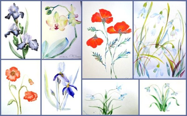 Поэтапное рисование цветов акварелью
