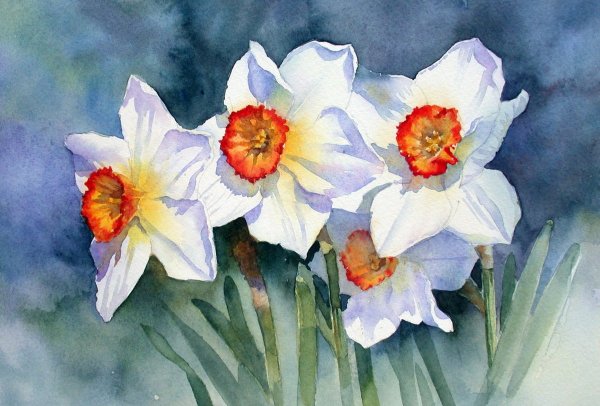 Энн Мортимер акварель