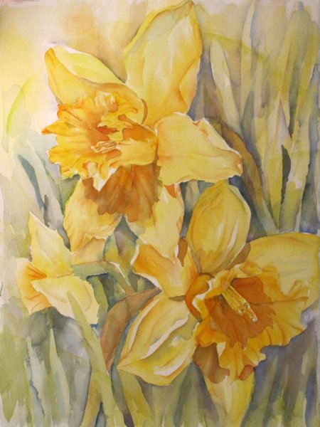 Цветы акварелью нарциссы