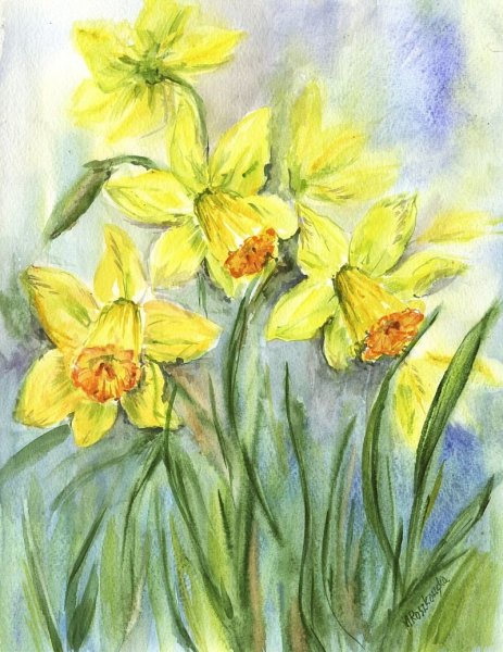Цветы акварелью нарциссы