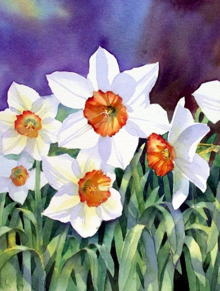 Ann Mortimer. Акварель. Цветы