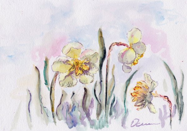 Екатерина Пытина нарциссы акварель