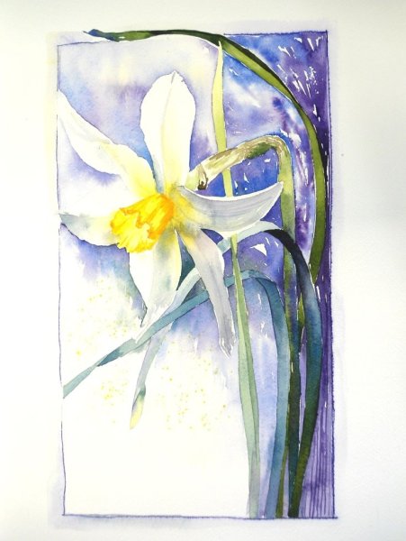 Нарциссы акварелью для начинающих