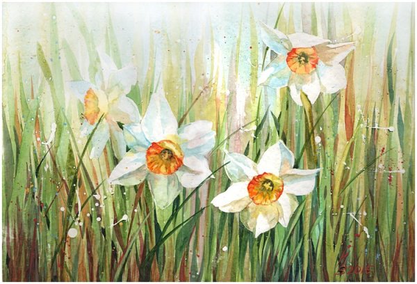 Нарциссы гуашью