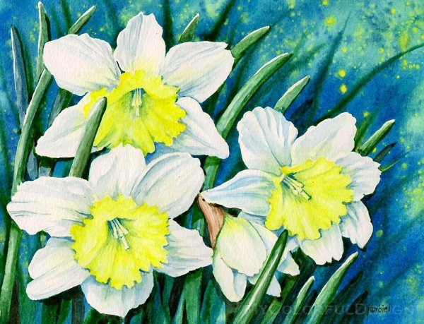 Нарциссы акварелью