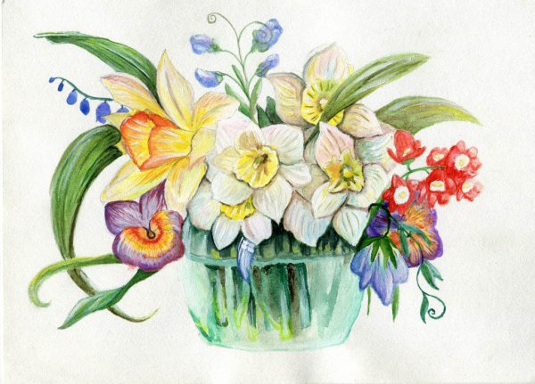 Нарциссы акварелью