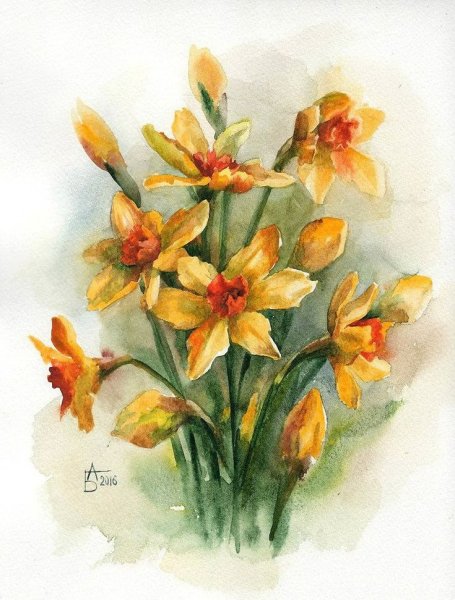 Анастасия Беседина тюльпаны акварелью