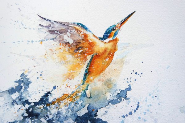 Птица Зимородок акварель