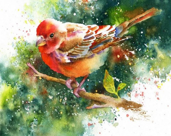 Сьюзан Крауч