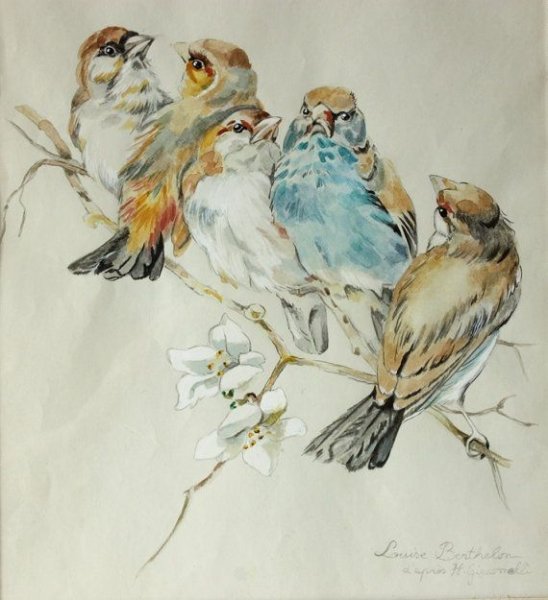 Птицы в акварельной живописи