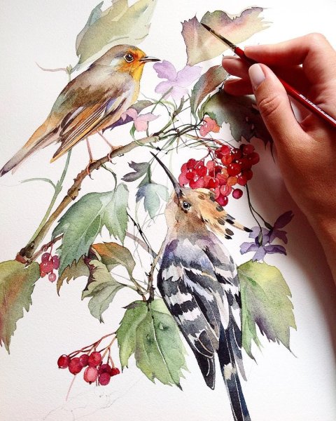 Птичка акварелью