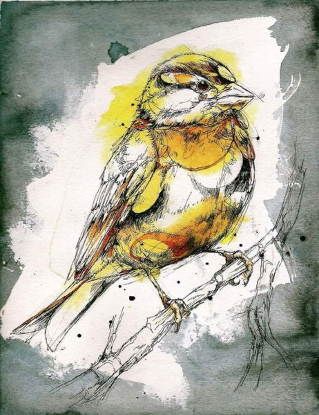 Птицы акварелью