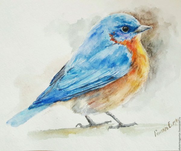 Птичка гуашью