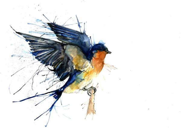 Птицы акварелью