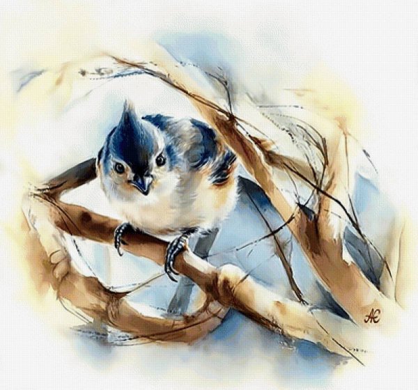 Акварели птицы художницы Альбины статных