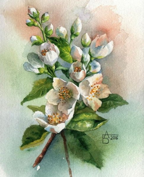 Цветы акварель Анастасии Бесединой