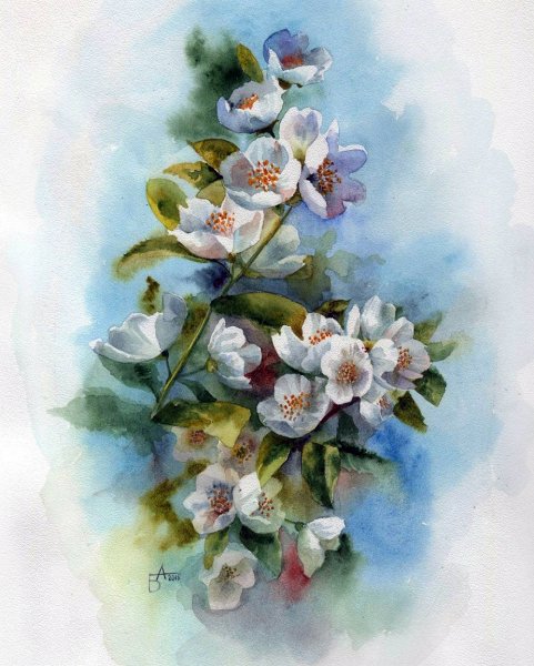 Цветы акварель Анастасии Бесединой