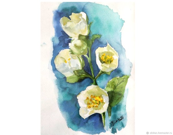Букет жасмина акварелью