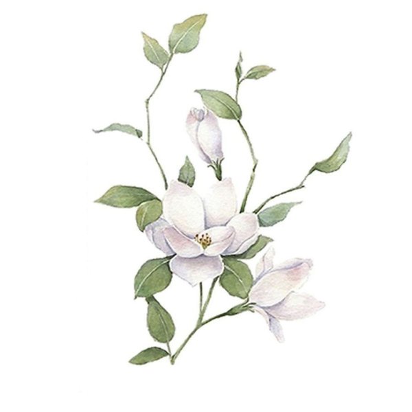 Белый цветок нарисованный