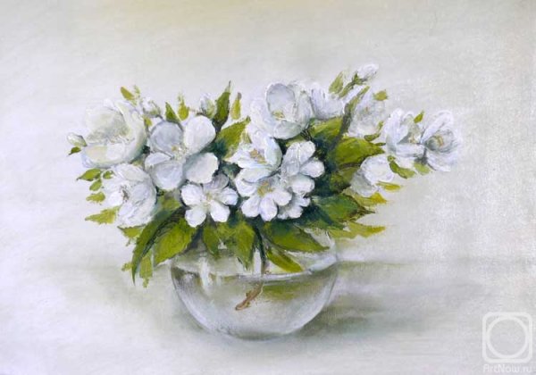 Цветы жасмина акварель
