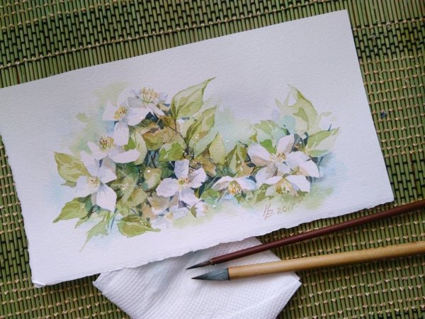 Акварель цветы Анна Катаниан