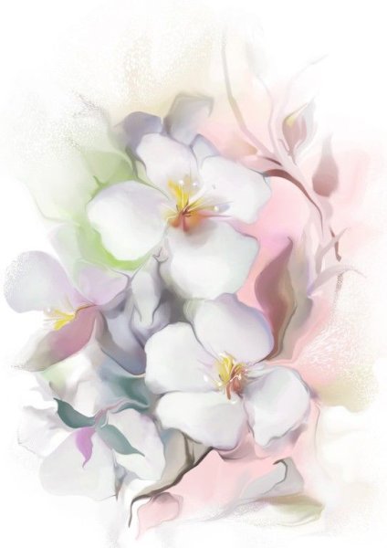 Нежный цветок