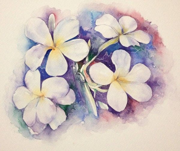 Живопись акварелью Франжипани.