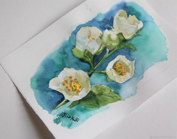 Жасмин акварель