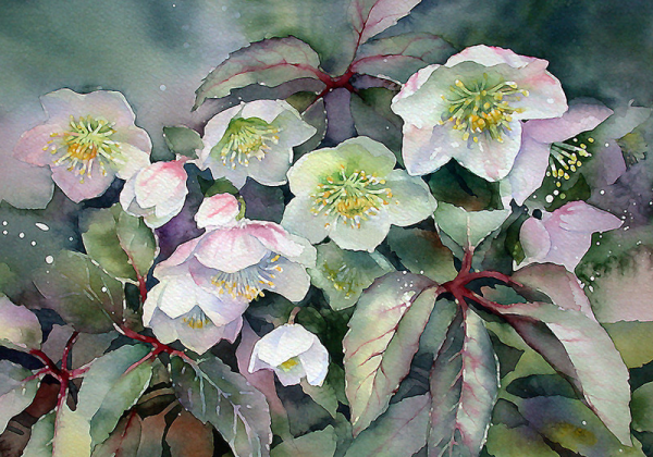 Ann Mortimer акварели