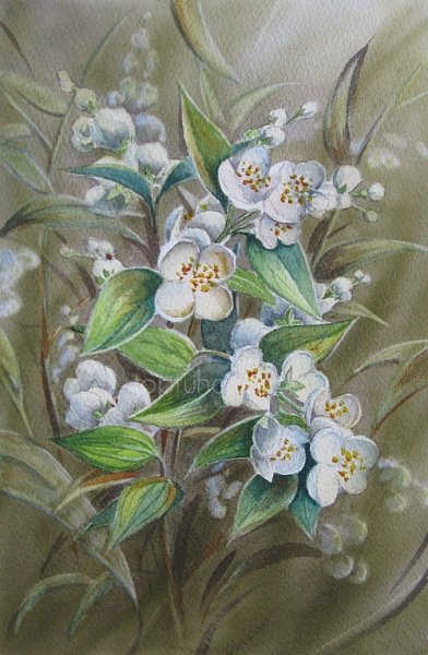 Ветка жасмина картина