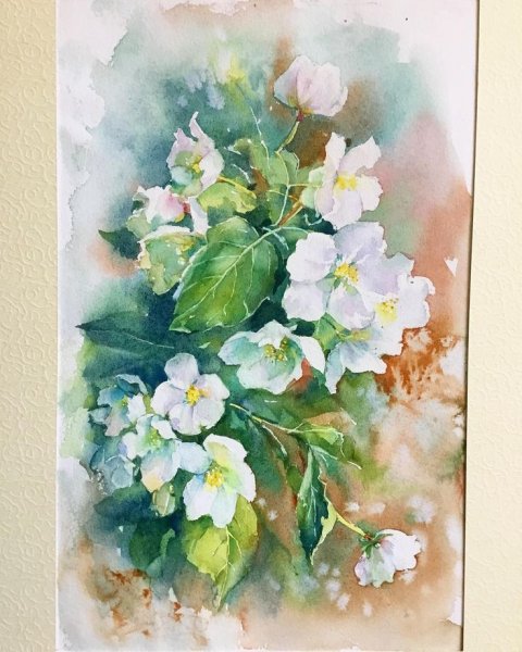 Акварель цветы Анна Катаниан