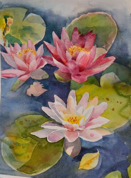 Ольга Новицкая кувшинки акварель