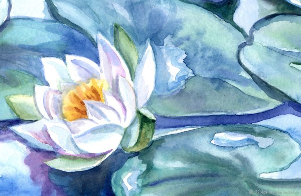 Кувшинки акварелью