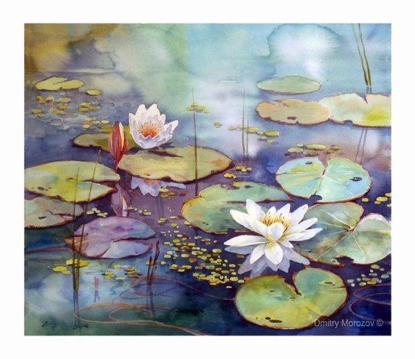 Алессандро Форнеро художник кувшинки