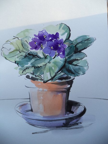 Сенполия акварель