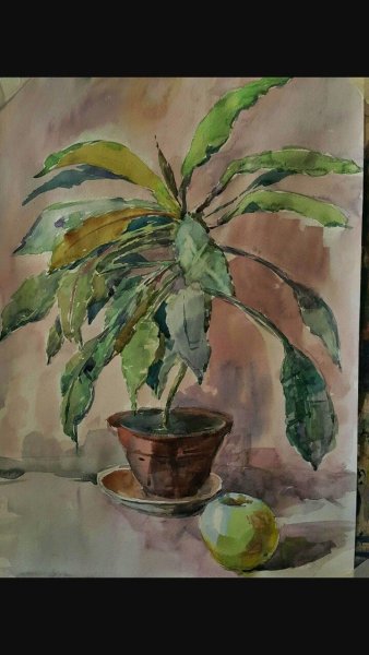 Этюды цветов