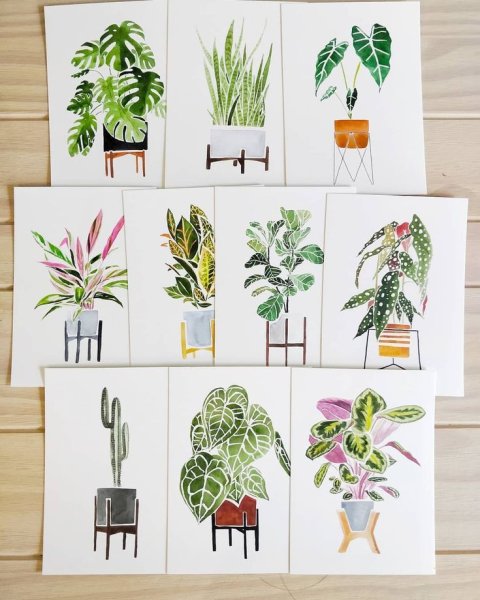 Скетчи растений