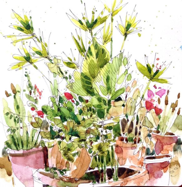 Растения акварелью
