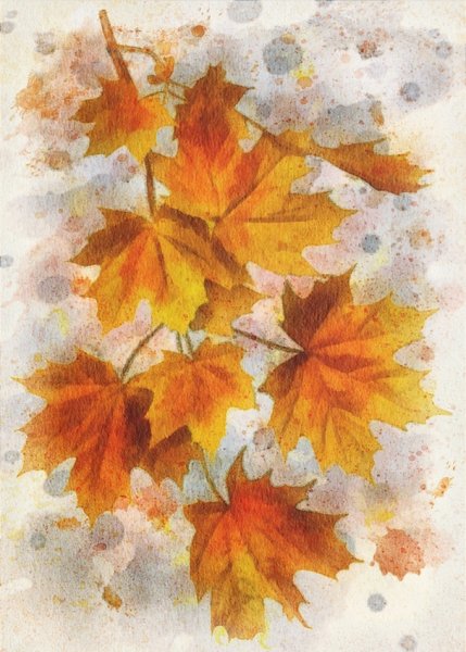 Кленовая ветка акварелью