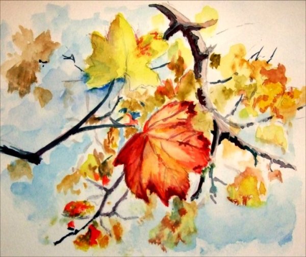 Кленовая ветка акварелью
