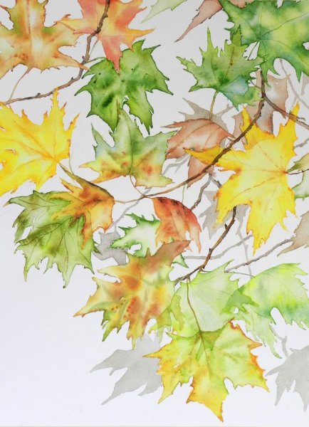 Листья акварель