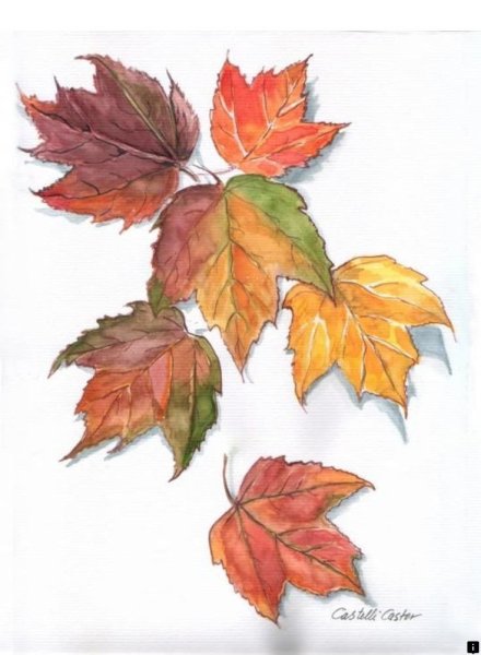 Этюд осенних листьев
