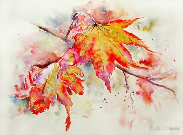 Акварельные кленовые листья