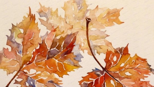 Клен Момидзи в китайской живописи