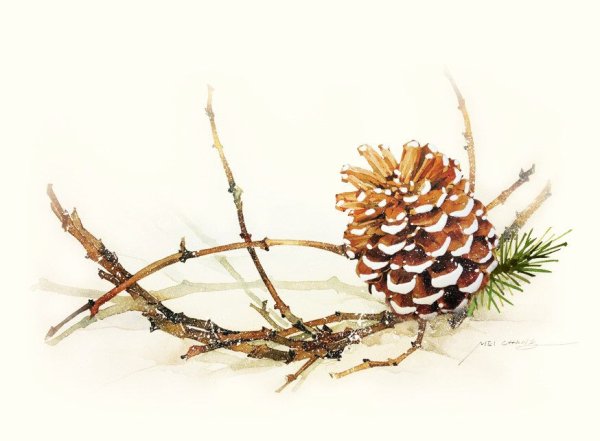 Шишка акварелью