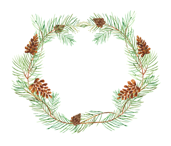 Еловый венок акварель