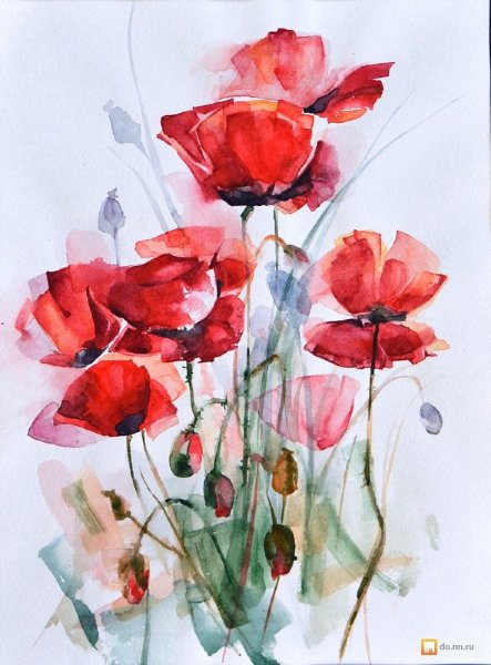 Маки акварель Джен Ханборн