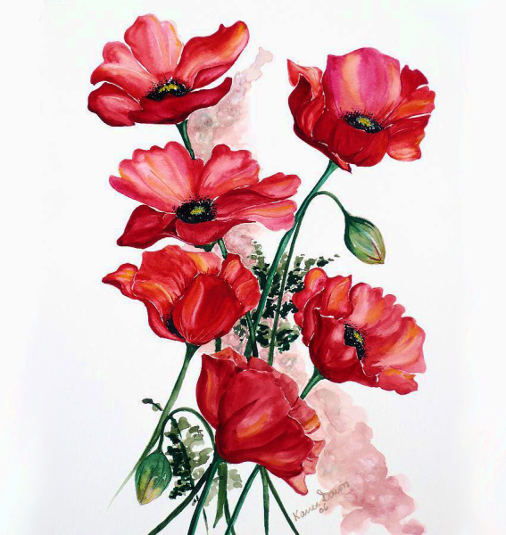 Маки акварелью