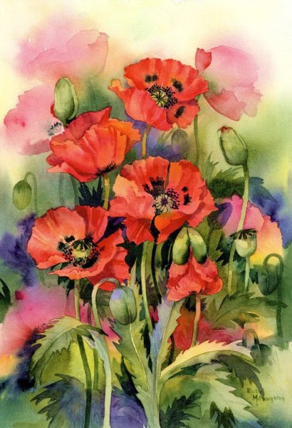 Картина маки Рэйчел МАКНОТОН