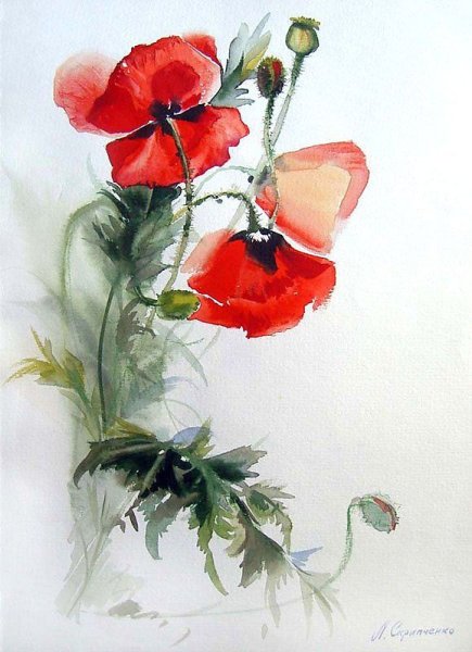 Картина Людмилы Скрипченко маки